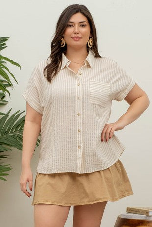 Curve Haven Stripe Top